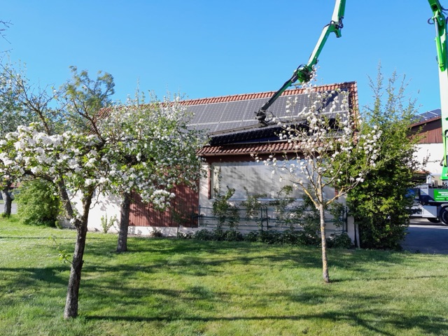 Photovoltaikanlage auf einem Wohnhaus nahe Bäumen